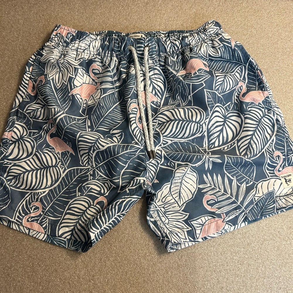 The Endless Summer‎ Men’s Swim Trunks, Large
